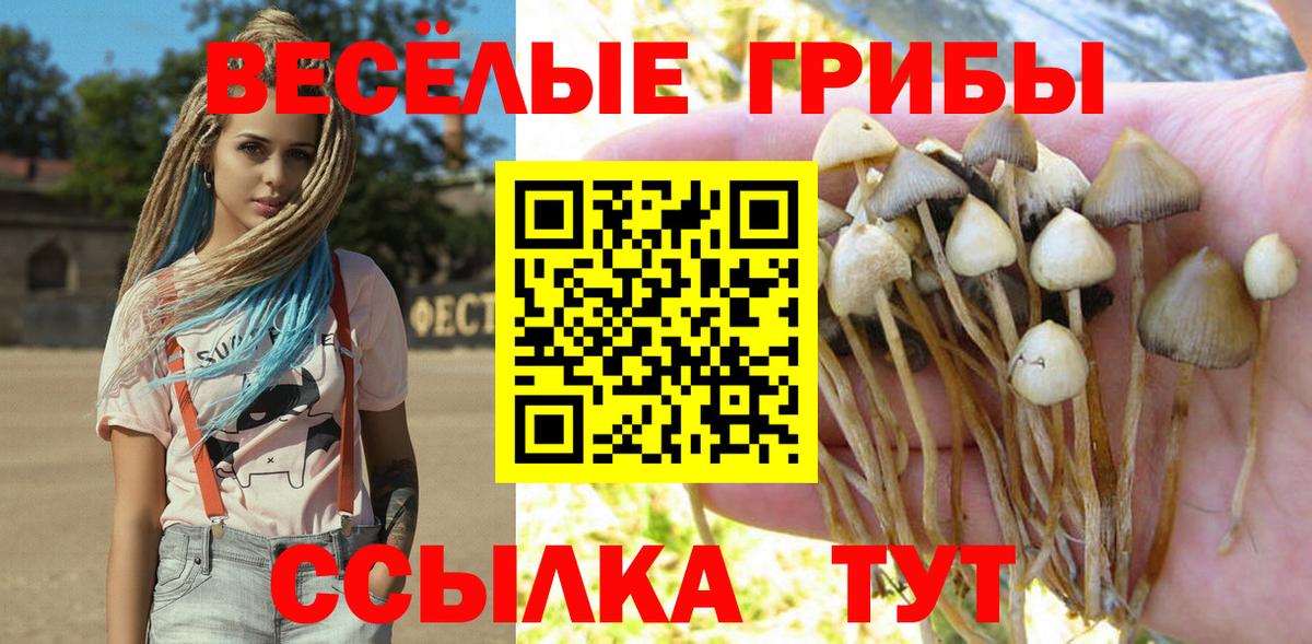 Галлюциногенные грибы Psilocybe  Псилоцибиновые грибы мухоморы  Ногинск  Вход с VPN 
